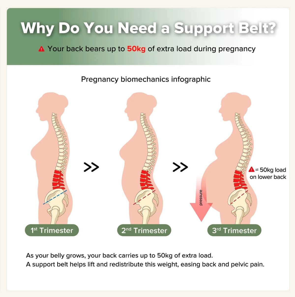 THE BUMP MATERNITY BELT